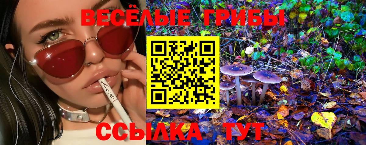 Псилоцибиновые грибы мухоморы Коммунар