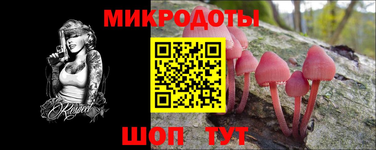 Коммунар  Галлюциногенные грибы Cubensis  где найти   Вход с VPN  Псилоцибиновые грибы Psilocybe 